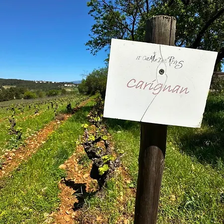 Le Grenache بيت للعطل